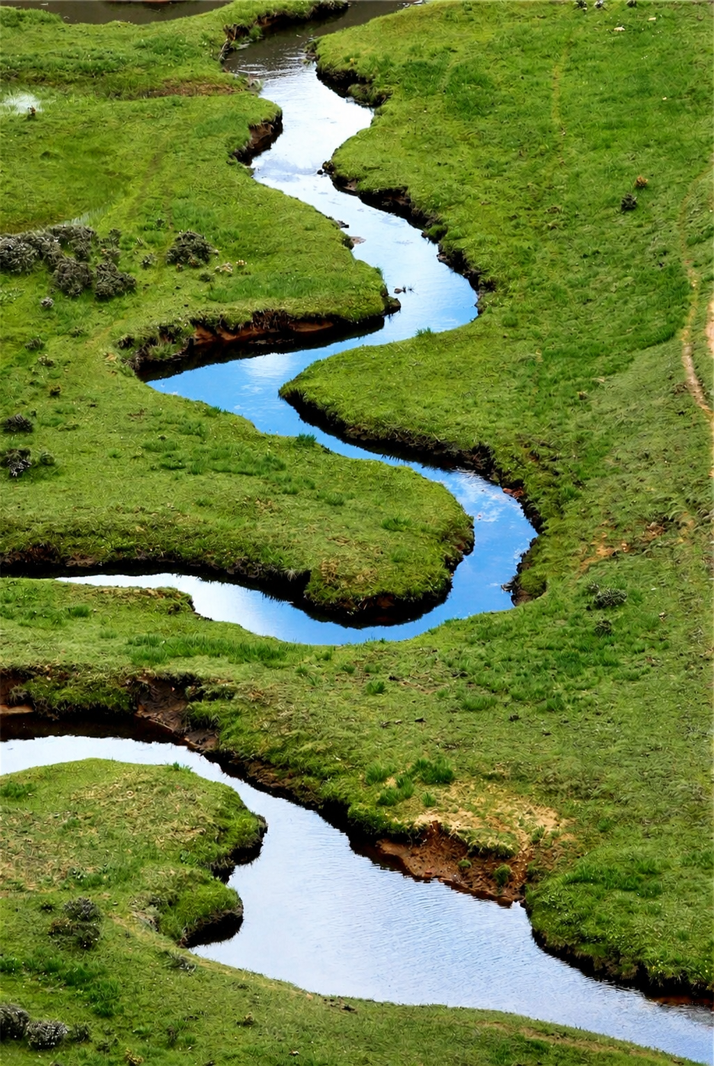 A stream winding through green alpine meadow in Luoguqing